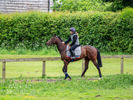 CH290522-58 - Charlie Hills Stable Visit